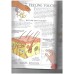 Understanding Your Senses (Usborne Science for Beginners) 