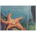 A Little Whale Tale: A Water Wonder Book