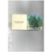 Tiny Board Book - O Christmas Tree