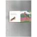 Tiny Board Book - Puppies at the Park