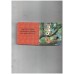 Tiny Board Book - 3rd & Bird - Friends