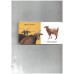 Tiny Board Book - Sheep and Goats