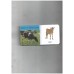 Tiny Board Book - Cows