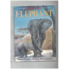 Elephant (Animals at Risk)