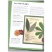 My Nature Activity Book