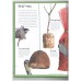 My Nature Activity Book