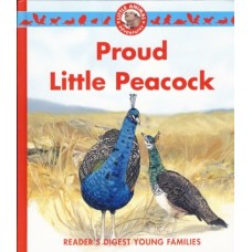 Proud Little Peacock