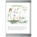 My First Picture Book of Baby Animals