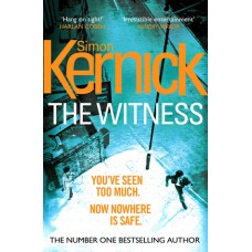 The Witness (DI Ray Mason #1)