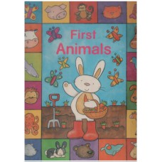 First animals