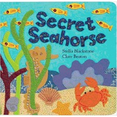 Secret Seahorse (Hide and Seek Books)