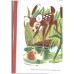 Bambi (Walt disney production)