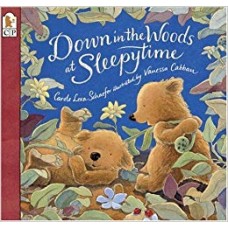 Down in the Woods at Sleepytime