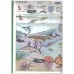 333 Word Book: Animals Everywhere
