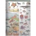 333 Word Book: Animals Everywhere