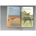 Mad about Deadly creatures(Ladybird)